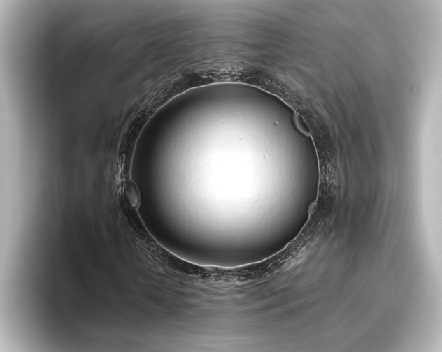 X0000096490818200801241502