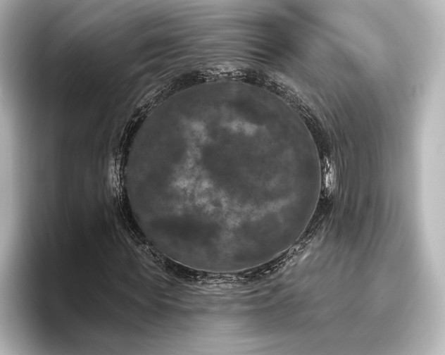 X0000096490819200801241502
