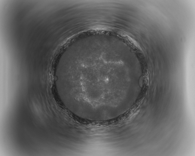 X0000096490821200801241502