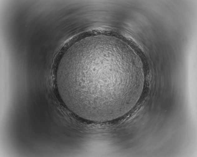 X0000096490822200801241502