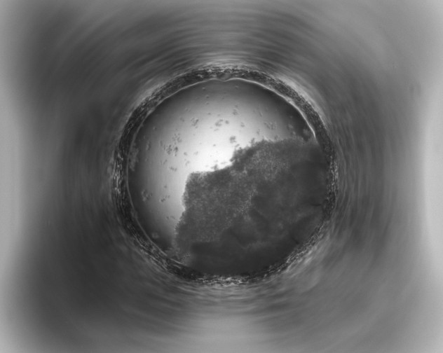 X0000096490823200801241502