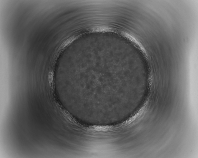 X0000096490825200801241502