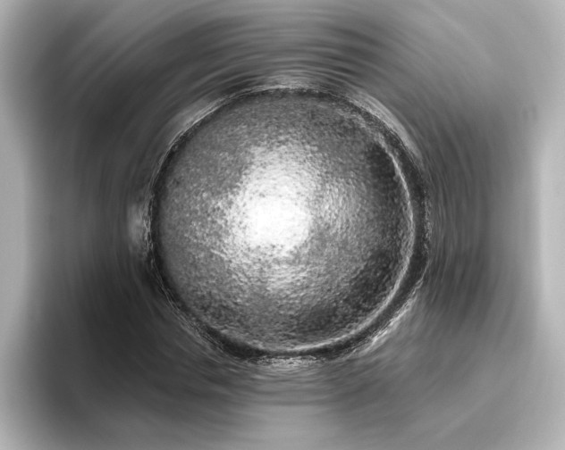 X0000096490826200801241502