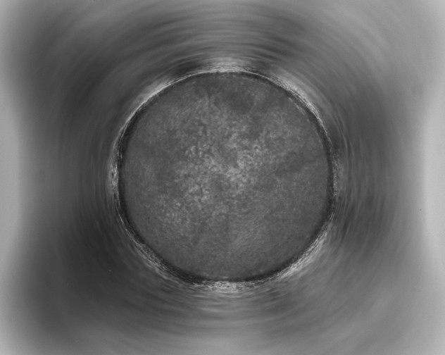 X0000096490827200801241502