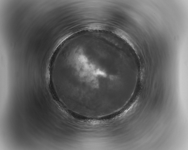 X0000096490829200801241503