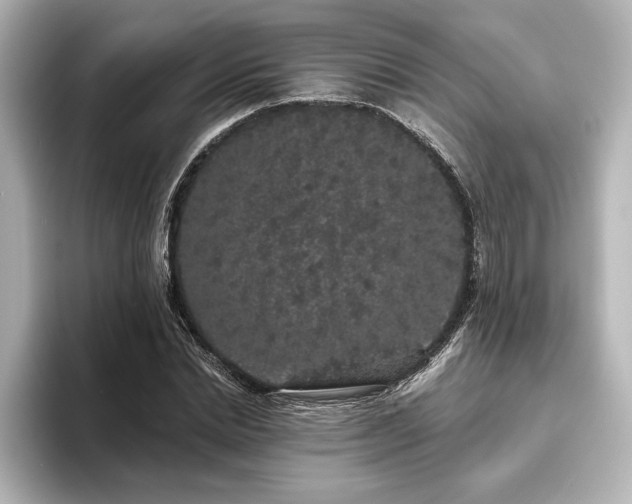 X0000096490830200801241503