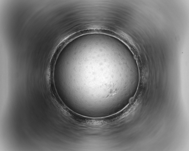 X0000096490831200801241503