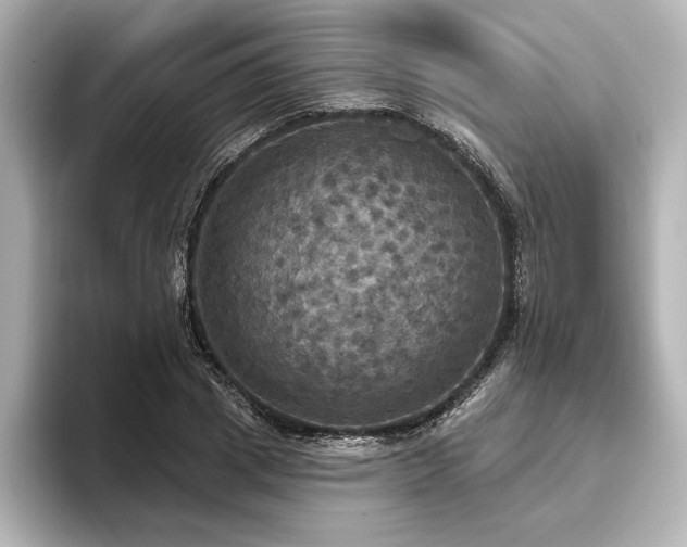 X0000096490833200801241503