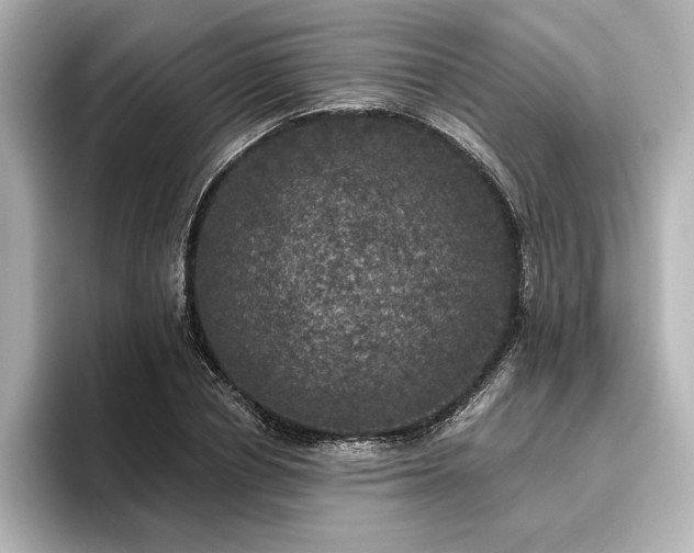 X0000096490834200801241503