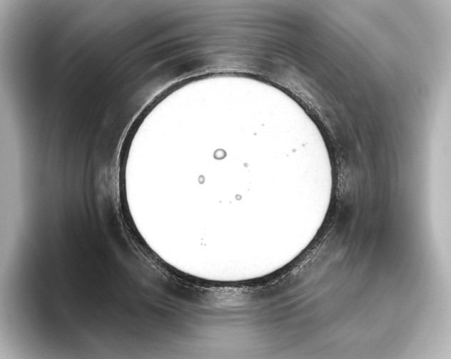 X0000096490836200801241503