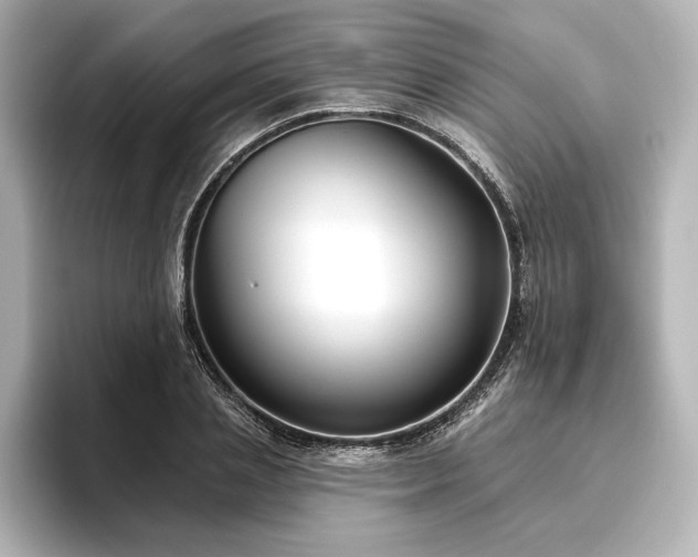 X0000096490837200801241503
