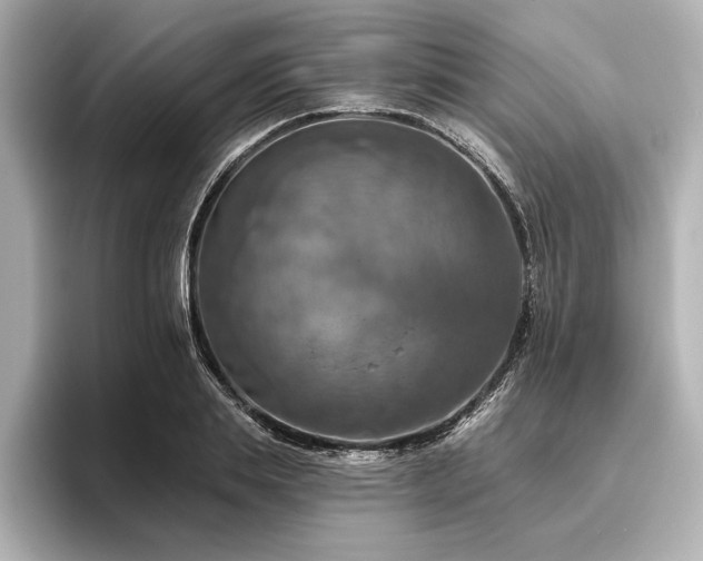 X0000096490839200801241503