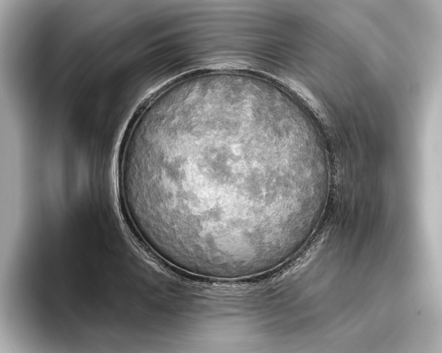 X0000096490840200801241503