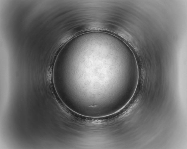 X0000096490841200801241503