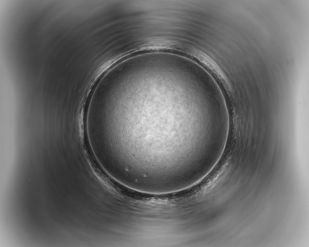 X0000096490842200801241503