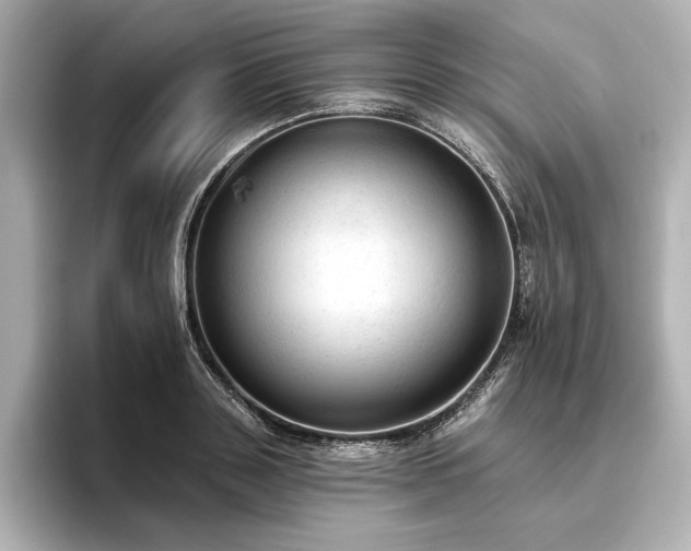 X0000096490843200801241503