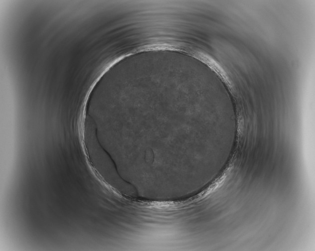 X0000096490844200801241503