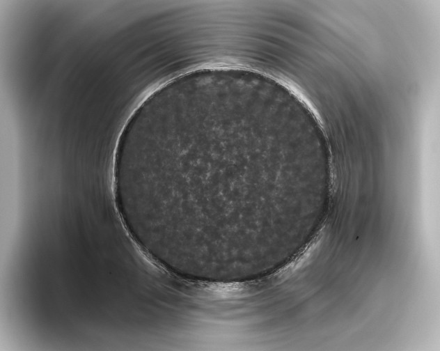 X0000096490845200801241503