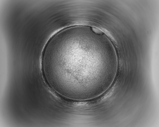 X0000096490846200801241503