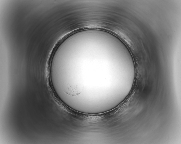 X0000096490848200801241503
