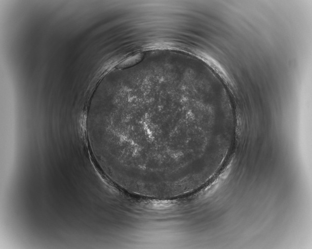 X0000096490849200801241503