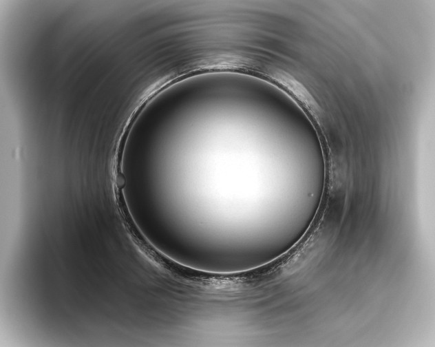 X0000096490850200801241503