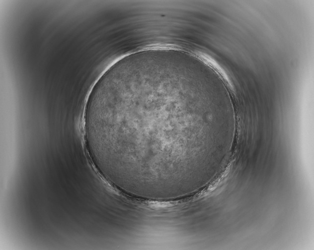 X0000096490852200801241503