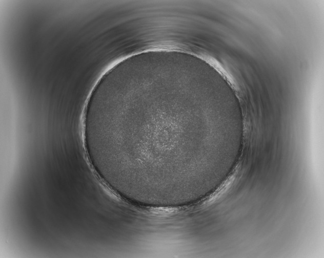 X0000096490854200801241503