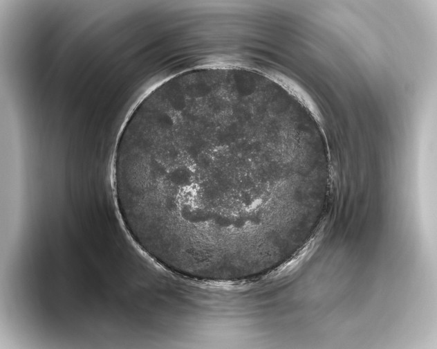 X0000096490855200801241503