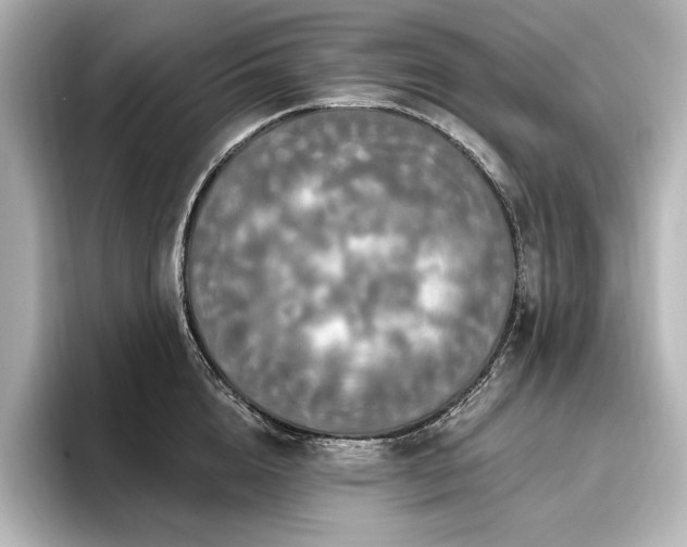 X0000096490856200801241503