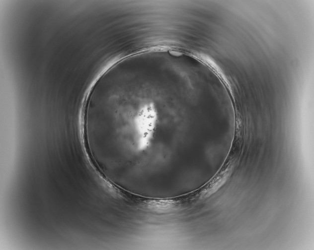 X0000096490859200801241503