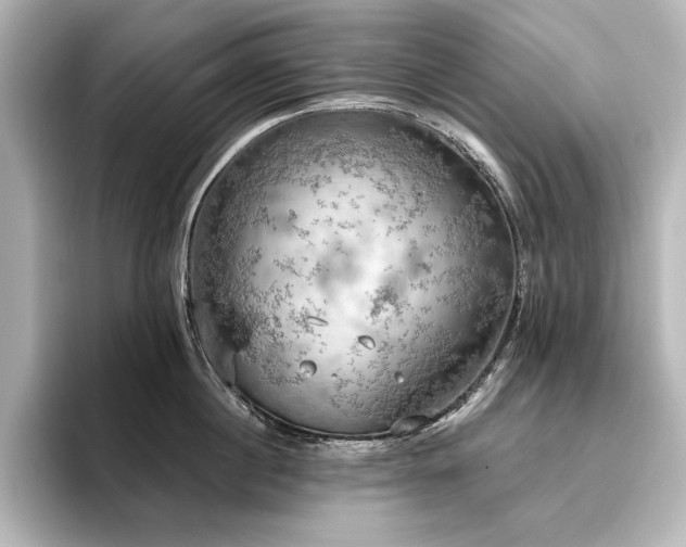 X0000096490860200801241503