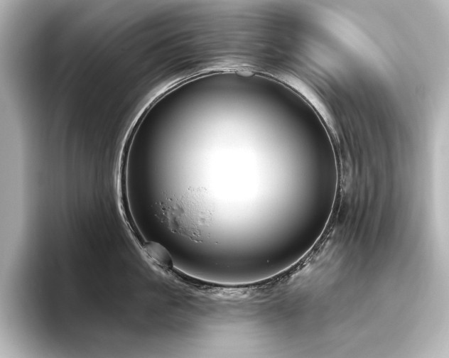 X0000096490861200801241503