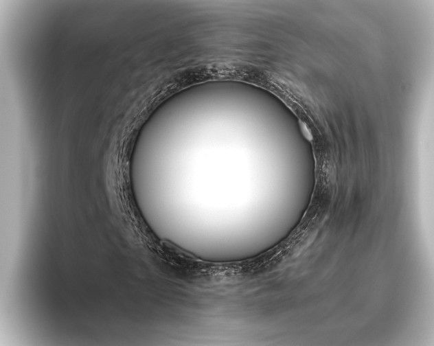 X0000096490865200801241502