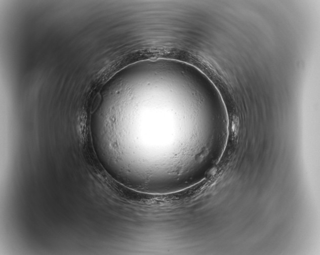 X0000096490867200801241502
