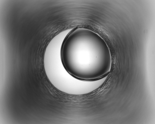 X0000096490868200801241502