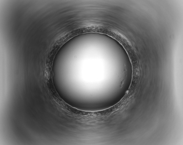 X0000096490869200801241502