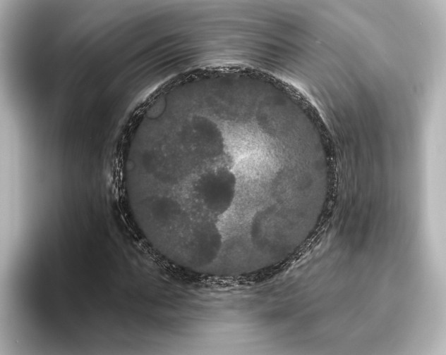 X0000096490871200801241502