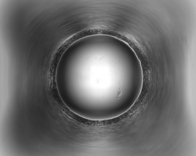 X0000096490872200801241502