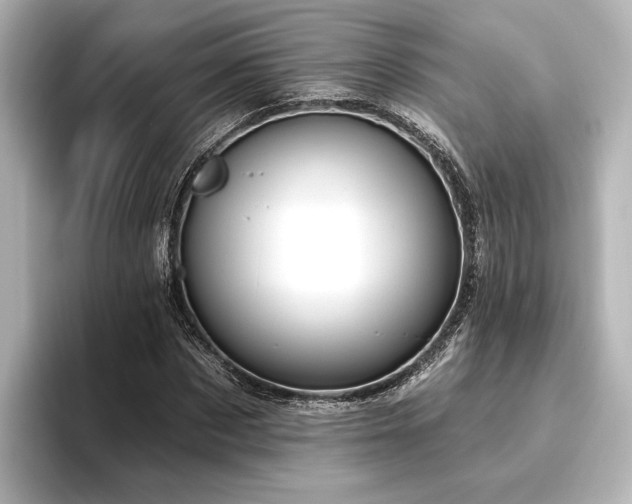 X0000096490873200801241502