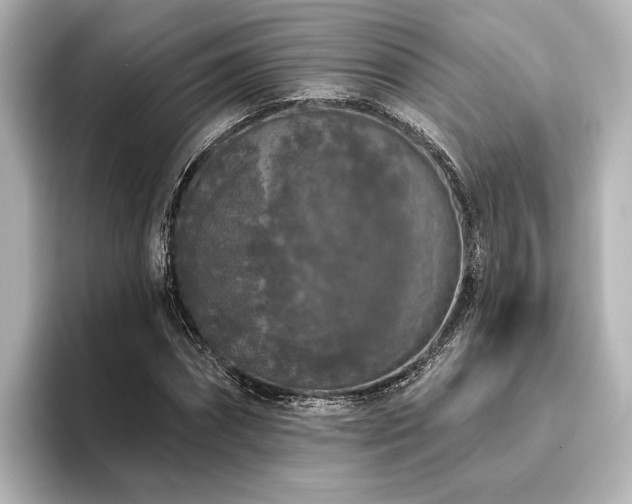 X0000096490874200801241502