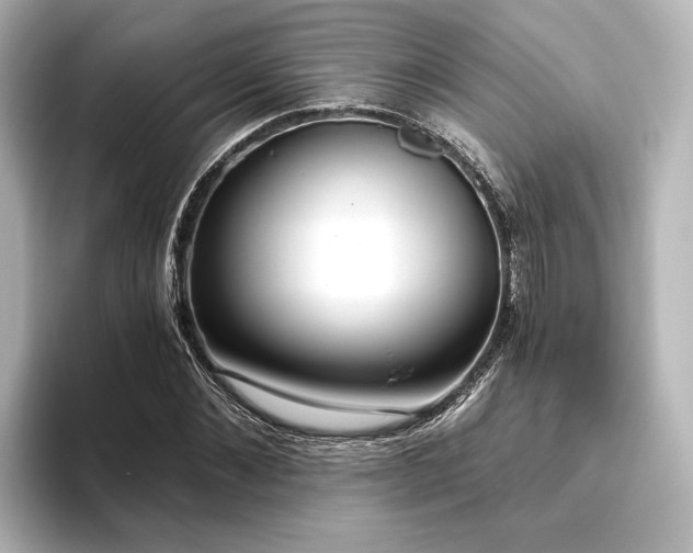 X0000096490876200801241502