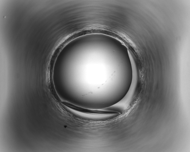 X0000096490877200801241502