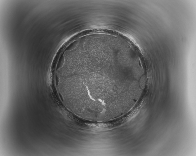 X0000096490879200801241502