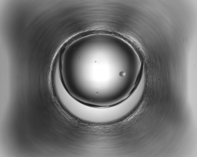 X0000096490880200801241502