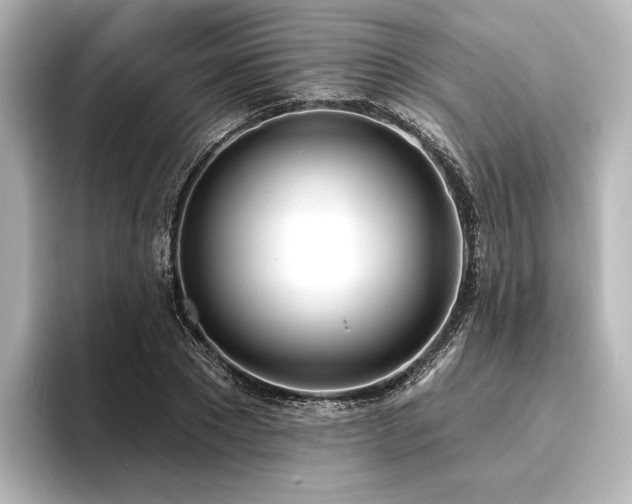 X0000096490881200801241502