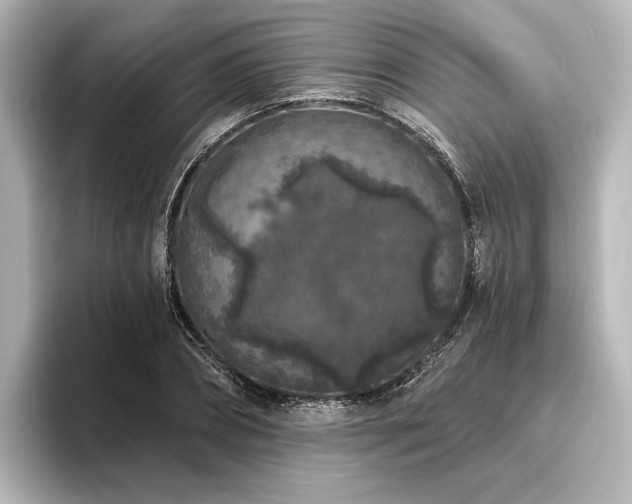 X0000096490882200801241502