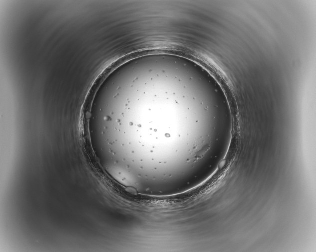 X0000096490883200801241502