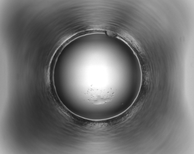 X0000096490884200801241502