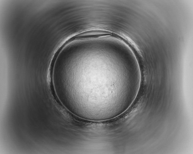 X0000096490885200801241502
